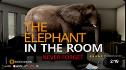 The Elephant in The Room