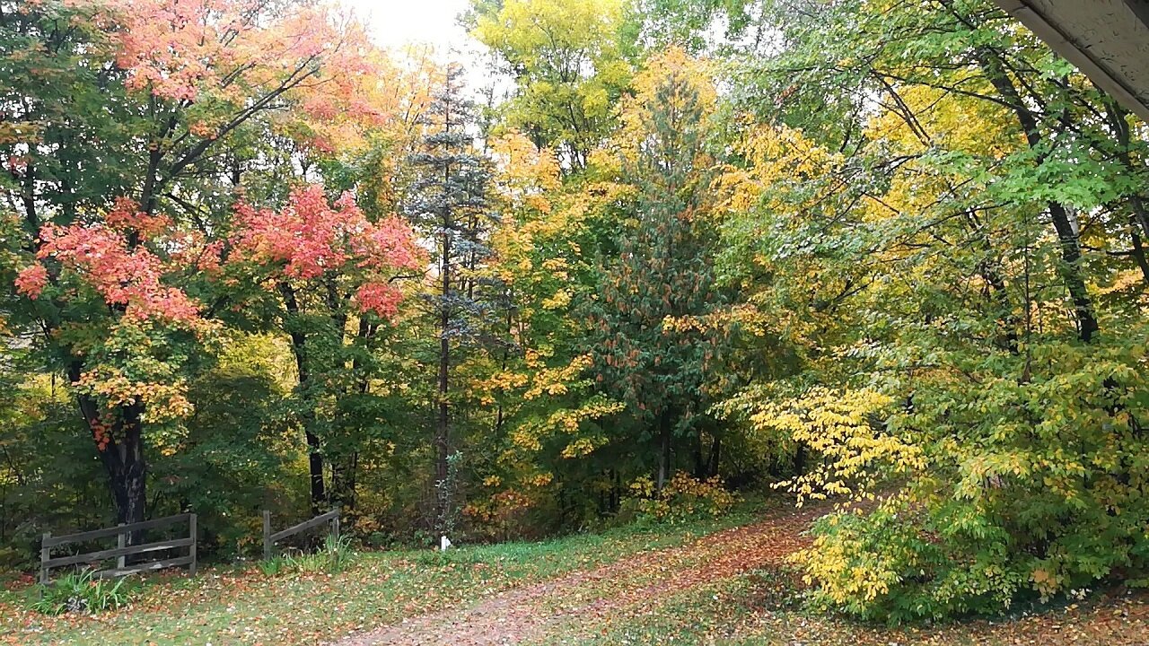 A Beautiful Day To Stream 8 Hours #SoberSeptemberDay27 #BigYolkLive