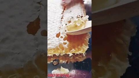 Best Oddly Satisfying Video for Stress Relief #Shorts #oddlysatisfying #relaxing #asmr(1)