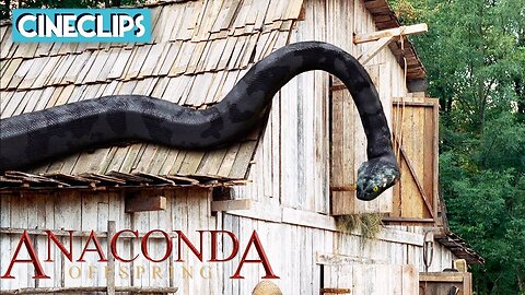 Killer Anaconda! | Anaconda 3: Offspring | CineClips CineClips 504K subscribers Subscribe