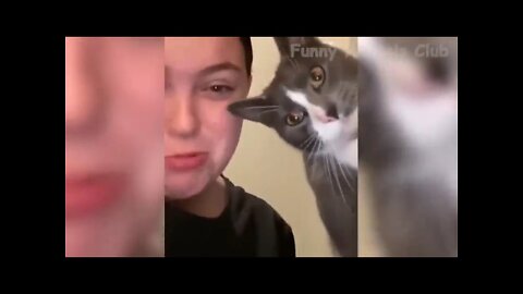 Funny Animal Videos 2022 😂 - Funniest Cats And Dogs Videos 😺😍