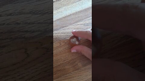 treasure inside of egg
