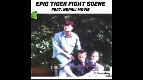 Watch it at your own risk! Funniest tiger encounter