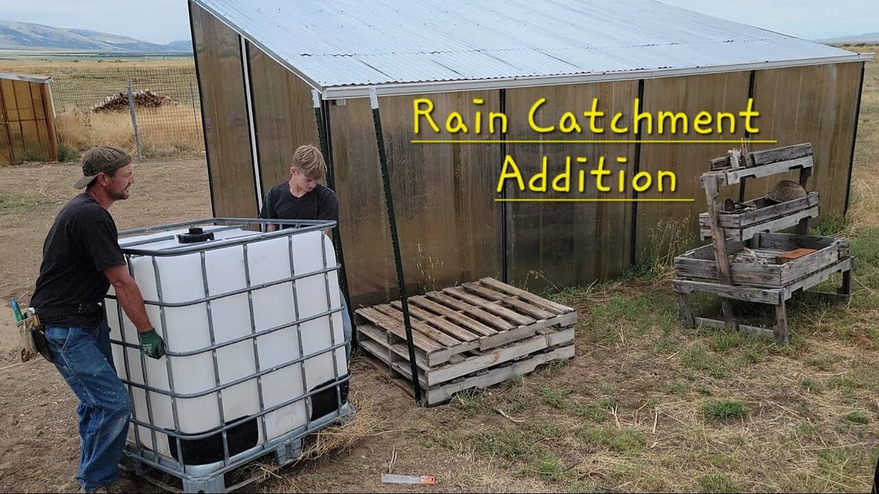 Expanding our Rain Catchment System