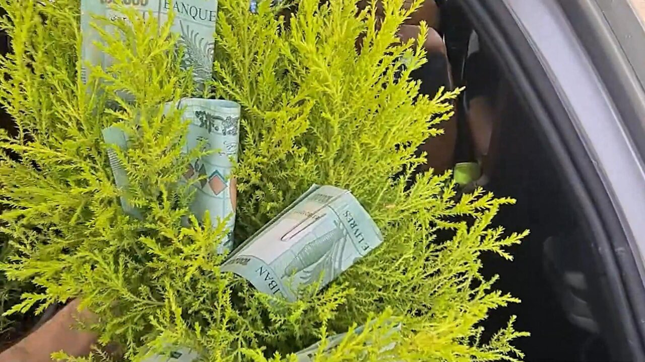 You Won't Believe How Giving in Kindness Impacts the World