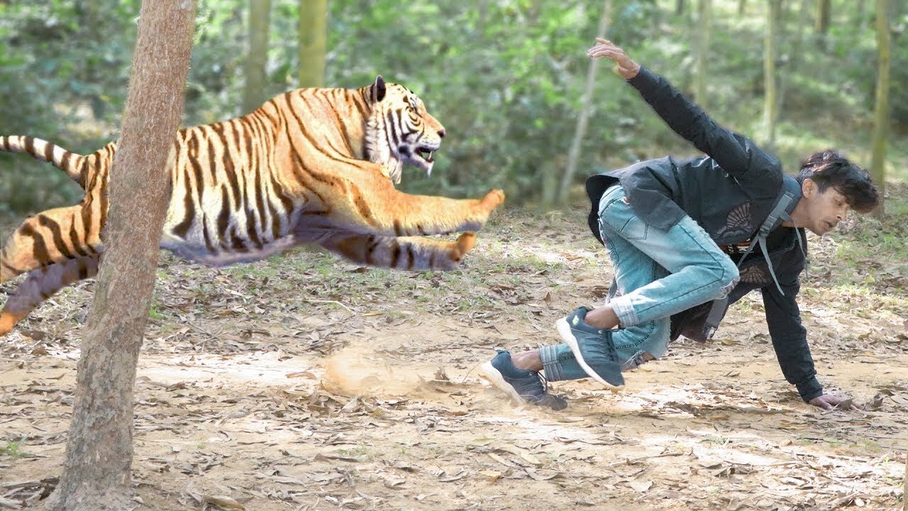 When Animals Go On A Rampage And Got Caught On Camera