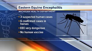 3 possible human cases of deadly mosquito virus detected in Michigan