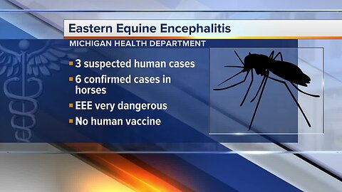 3 possible human cases of deadly mosquito virus detected in Michigan