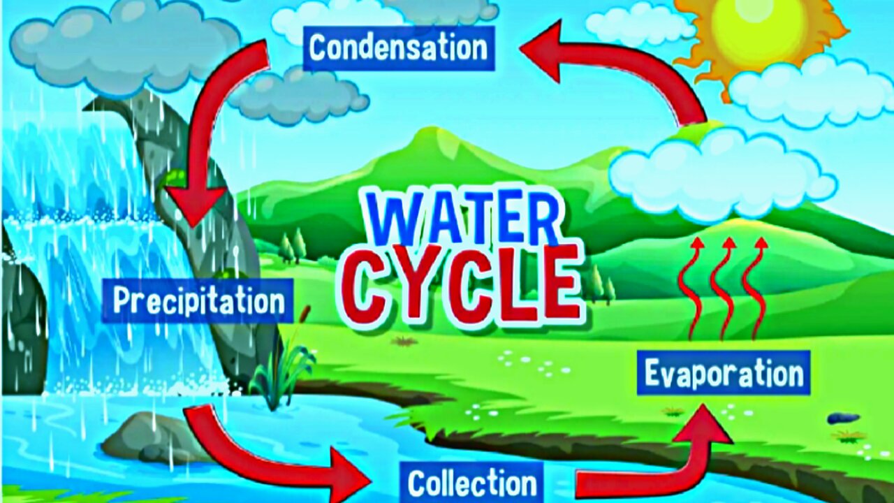 the process of water cycle || how to rainfall from and fall on the Earth || Tataclassedge