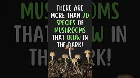 🍄🌟Discover Fascinating Nature Facts👀#shorts #shortsfact #naturefacts #mushroom #glow #inflorescence