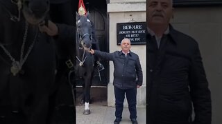 Holding the reins #horseguardsparade