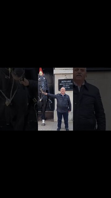 Holding the reins #horseguardsparade