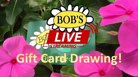 104 Bob's LIVE: Gift Card Drawing