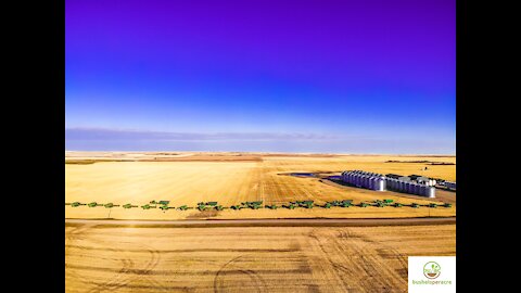 The Corporate Takeover of Farms and the AgriCancel Culture