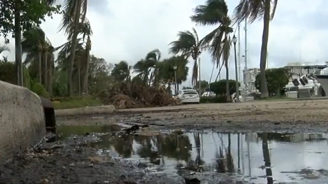 Preparing for king tides