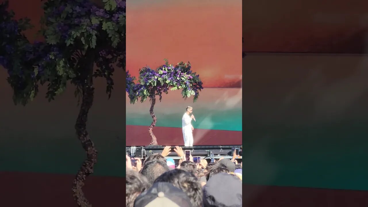Mora ◉ #Lollapalooza 2023 📅 17.03.2023 🎵 COMO HAS ESTAU?🎵 #lollacl #lollacl2023 #lollapaloozachile