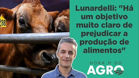 Taxa sobre emissão de gases de animais começa em 2025; "realidade do século XXI", justifica governo