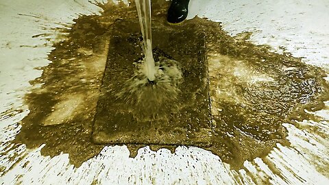 I have never seen a small carpet so dirty! Satisfactory carpet cleaning