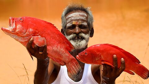 Red Snapper Fry Recipe | Village Food Factory