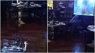 Giant aquarium breaks in a restaurant in the USA