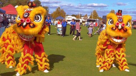 Spectacular Lion Dance at Cockburn Cultural Fair Western Australia