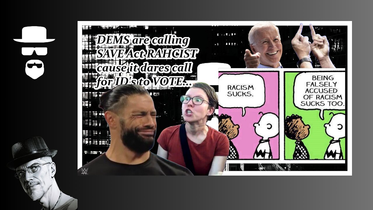 DEMS "VOTER ID LAWS ARE RAHCIST, PHOBIC & ANTI-DEMOCRACY..." WTF???