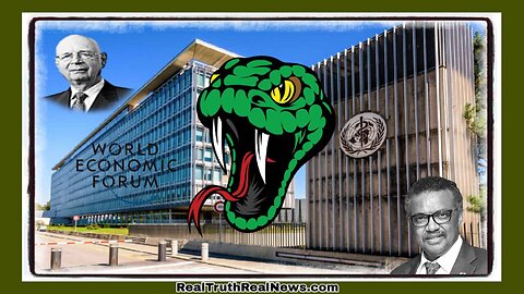 🌐🏙️ W Genewie powstają ogromne kompleksy budynków dla WHO i WEF * Co planują?