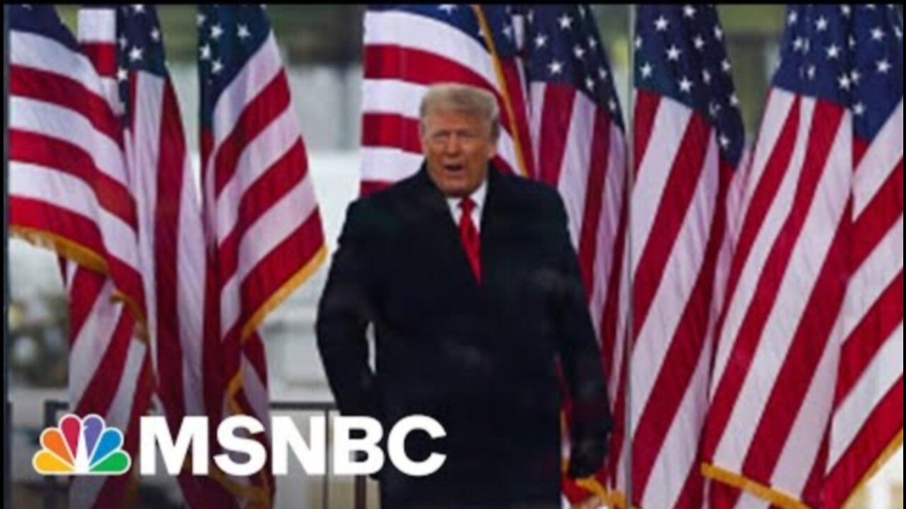 Could This Section Of The Constitution Keep Trump From A 2024 Bid? | The Mehdi Hasan Show