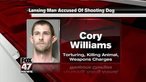 Man behind bars after killing neighbor's dog