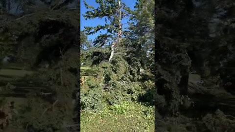 Hurricane Fiona Damage in PEI