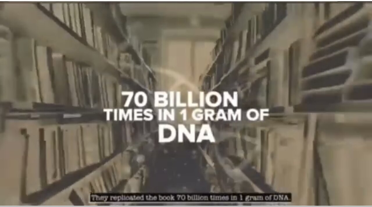 DNA memory storage