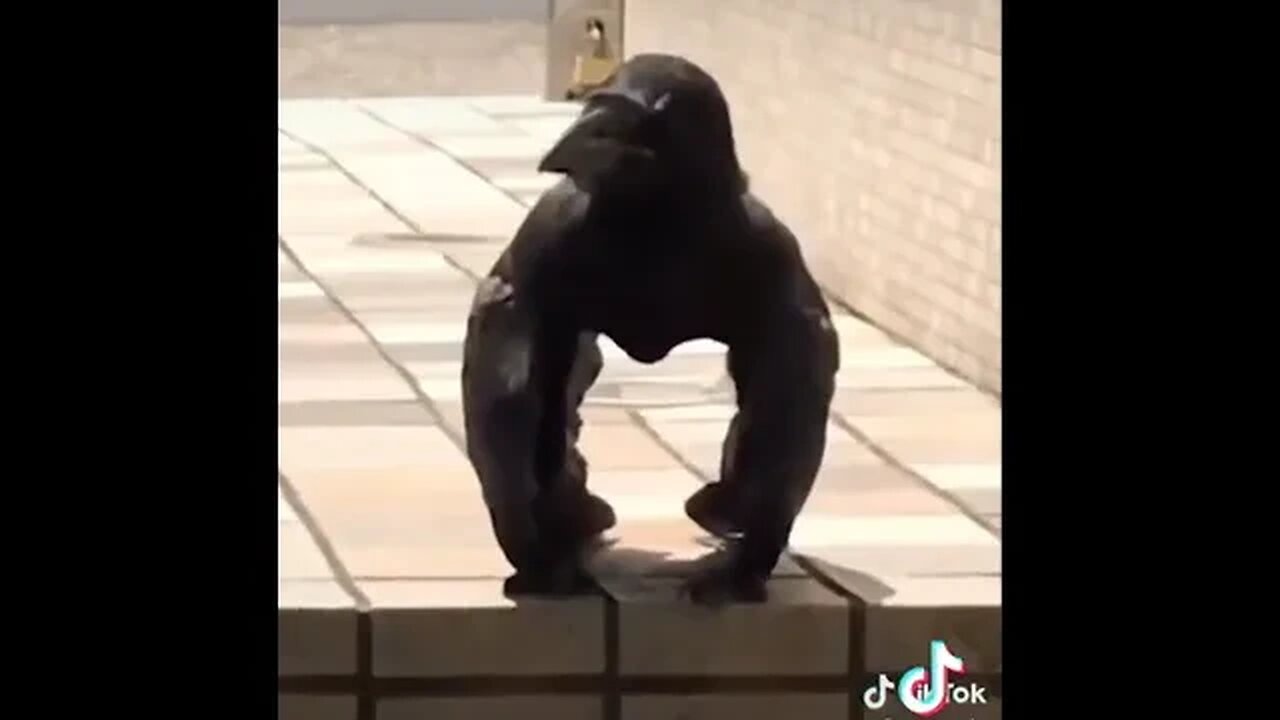 Creepy