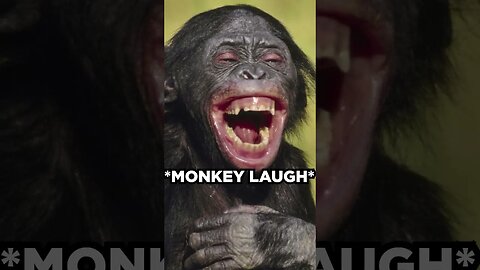 Is Laughter Nature or Nuture? Is Laughter Societal or Is it natural? #psychology #humanity #shorts