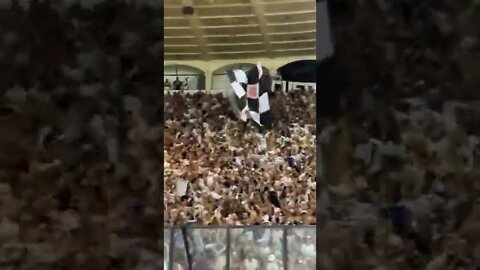 SÃO JANUÁRIO PULSANDO - "NUNCA ÃO ENTENDER ESSE AMOR!" - Vasco 2x1 Criciúma