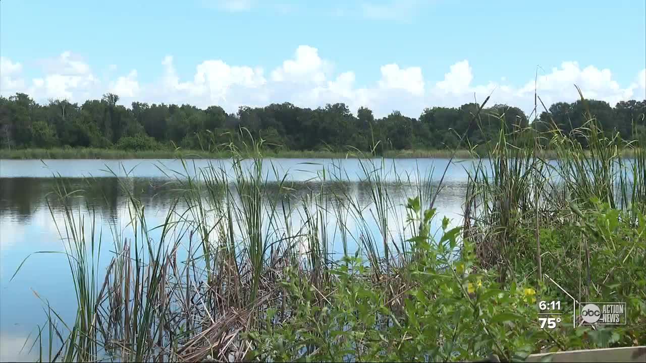 $2 million still needed to preserve 'last piece of paradise' in Pinellas County