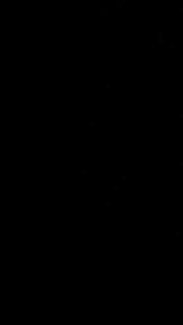 How to pronounce fishing