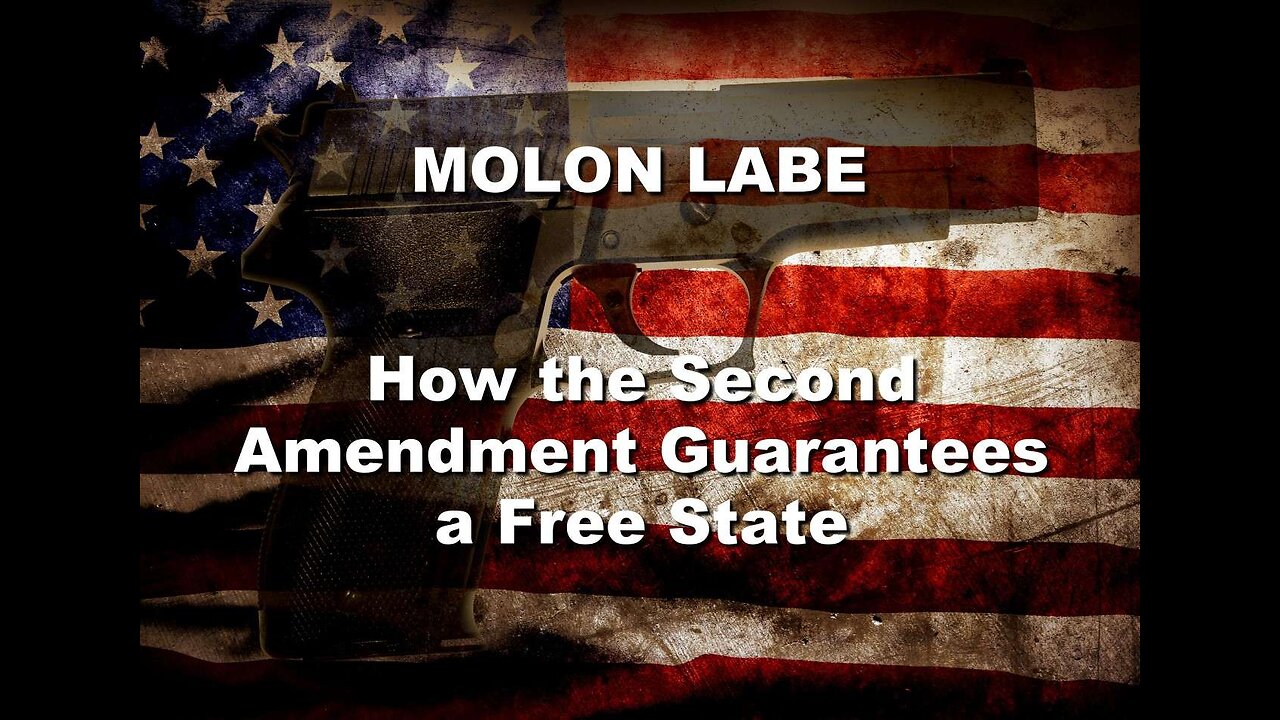 MOLON LABE - How the Second Amendment Guarantees a Free State