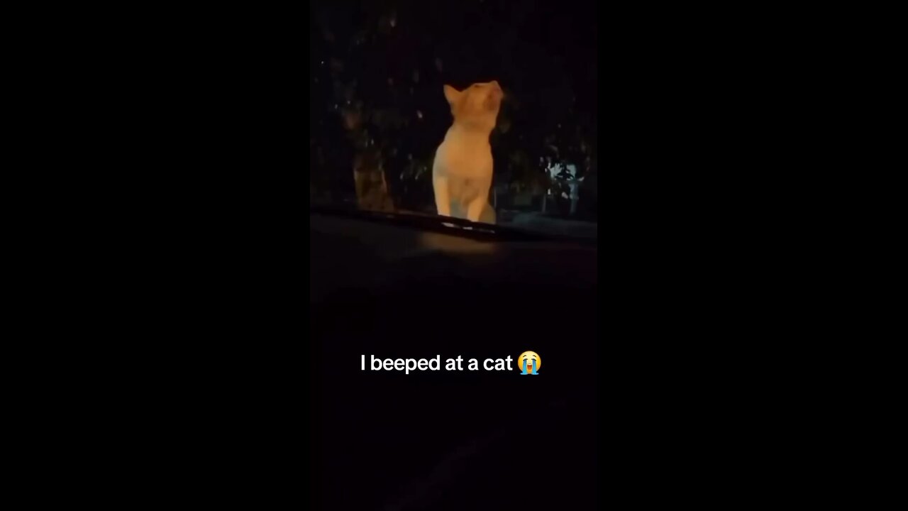 Bruh