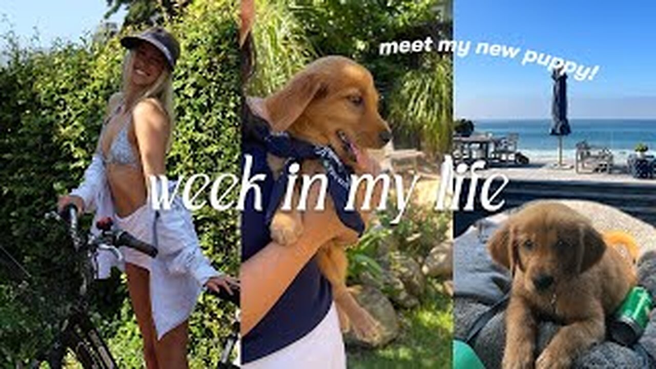 I adopted a puppy 🐶 first days in our lives together
