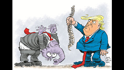 How spineless can you be ?