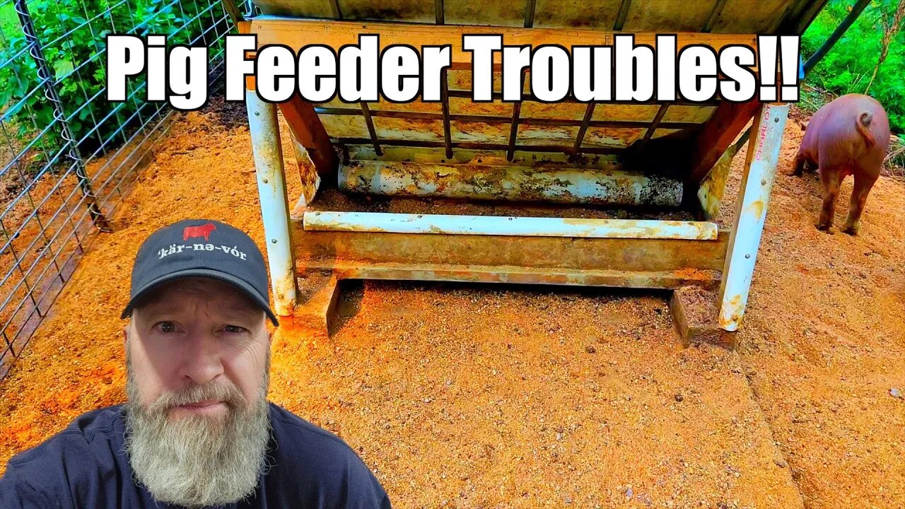 My Pig Feeder Needs Help! @UncleTimsFarm