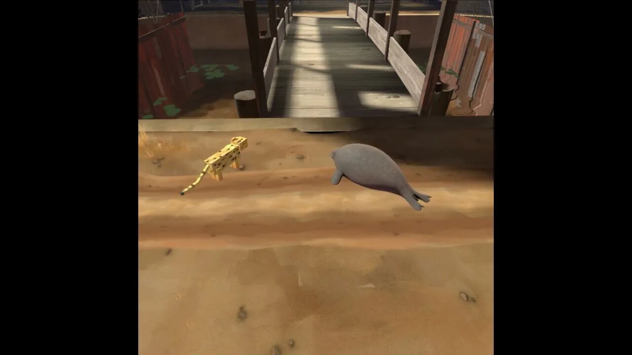 the seal has an bad day #shorts