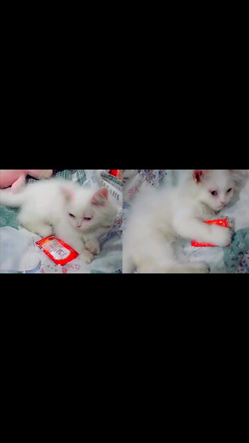 How Frausted She is To Open The Ketchup