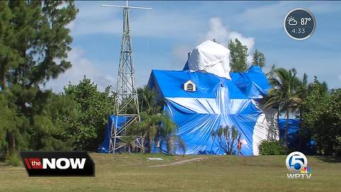 Invasive termites found in parts of Palm Beach County