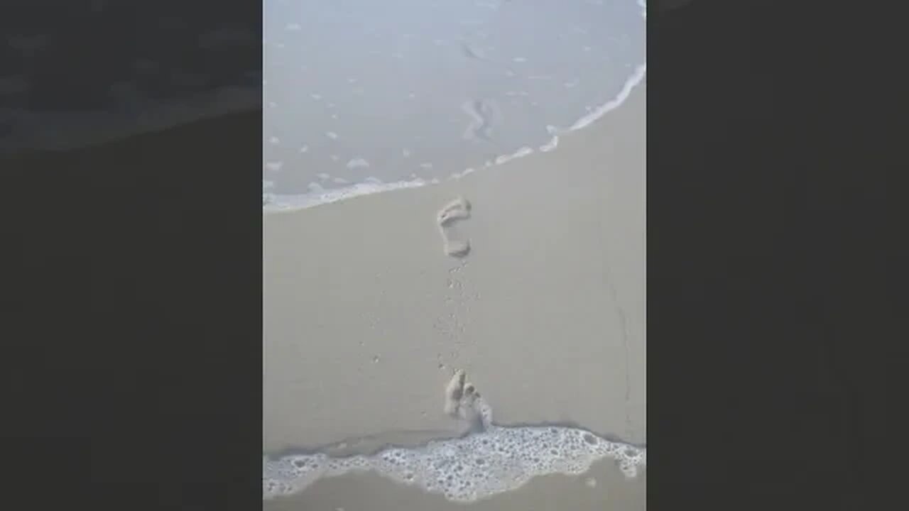 Double Tap this video if you like this Nature Content! #shorts #fishing #outdoors #nature