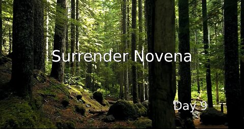 Surrender Novena - Day 9