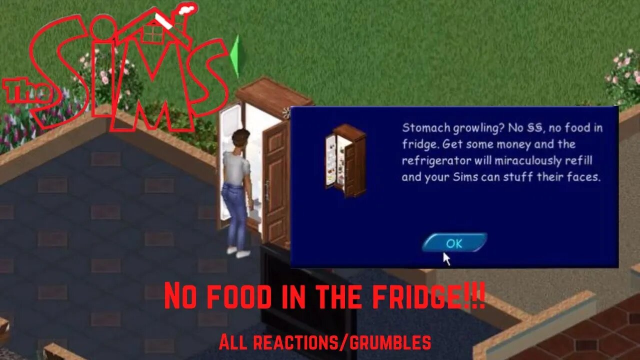 Sims 1: No Food in the Fridge