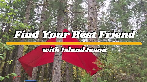 Find Your Best Friend with IslandJason