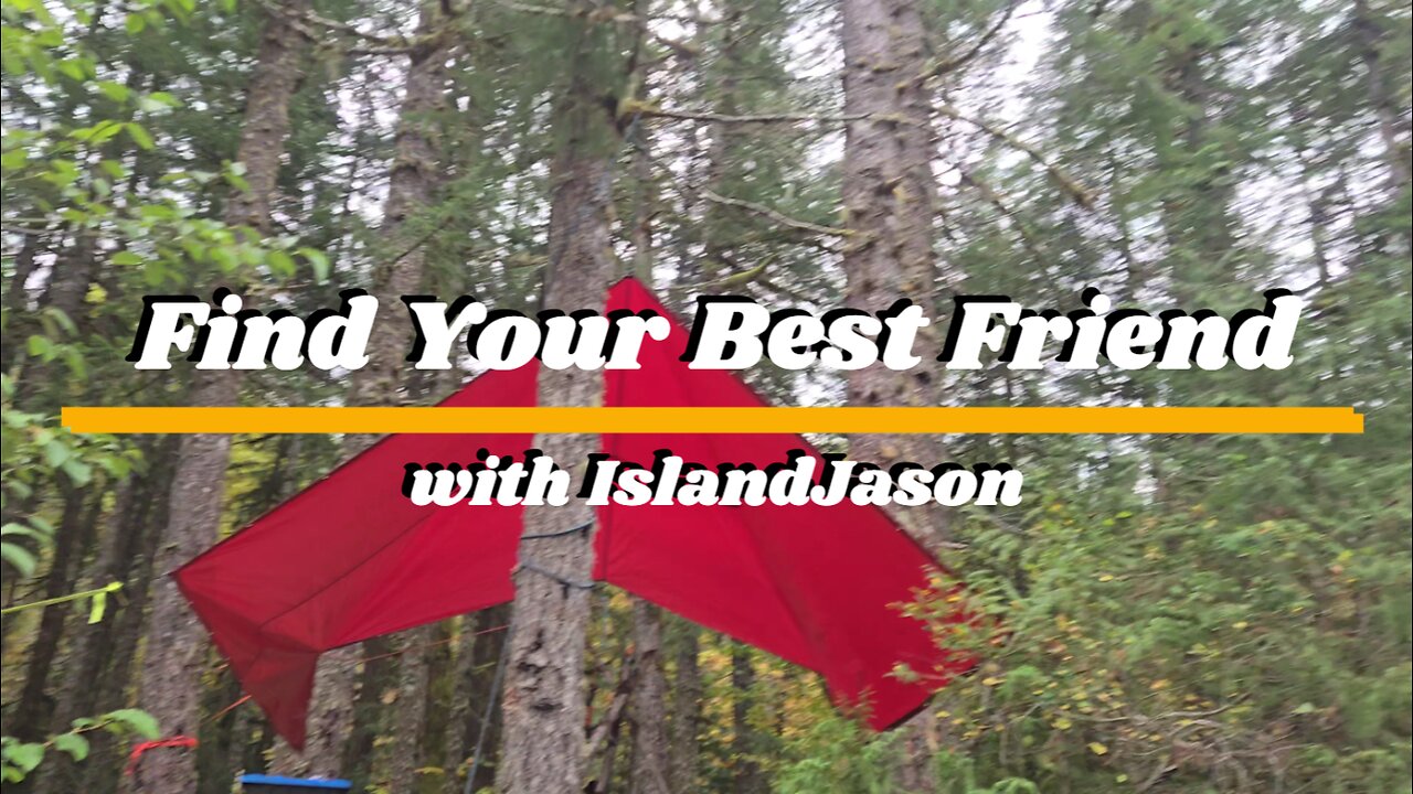 Find Your Best Friend with IslandJason