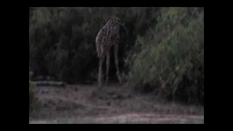 Kenya 2006